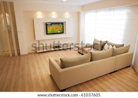 Modern room with plasma tv