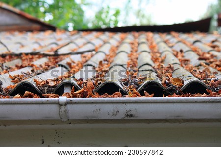 Lots of autumn leaves on a roof
