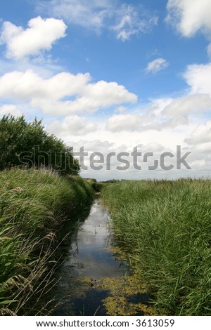 Marsh drainage channel on Pevensey level  sussex