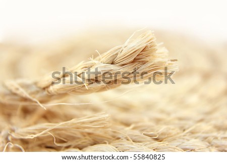 macro photo of end of frayed rope
