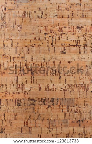 Cork-wood texture