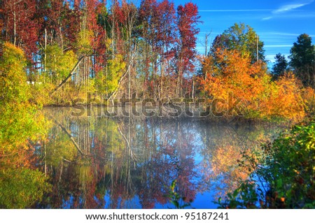 Fall trees and sky reflecting off the water in a lake.