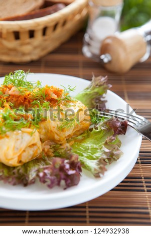 cabbage stuffed with rice and meat, roll close up