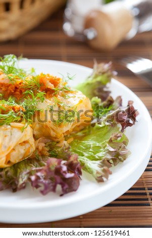 cabbage roll stuffed with rice and meat, dill