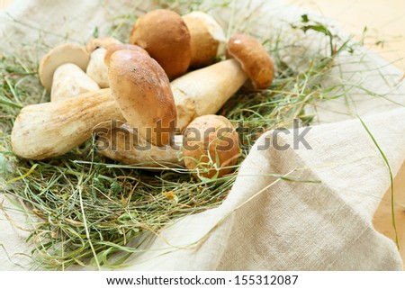 pile of porcini mushrooms on hay, food