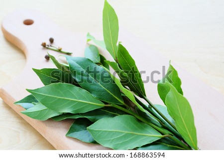 dry leaves laurel tree, seasoning, food closeup