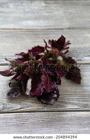 fragrant purple basil leaves, food closeup