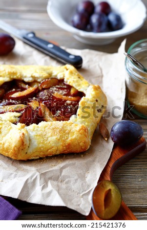 Plum pie with sugar, side view, food closeup