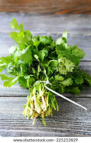 Bunch of fresh cilantro on wooden boards, vegetable