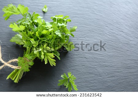 Green parsley on dark slate, background