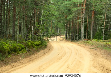 Sandy country road in a wood