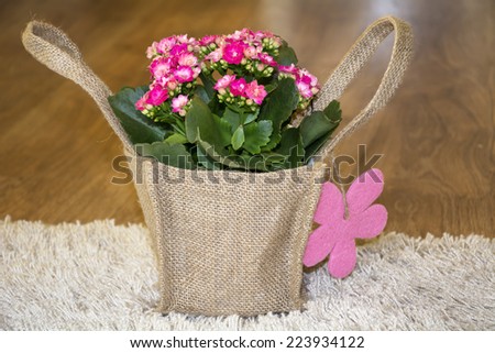 beautiful pink kalanchoe flower with gift card packed in canavas bag