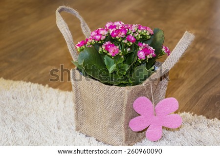 beautiful pink kalanchoe flower with gift card packed in canavas bag