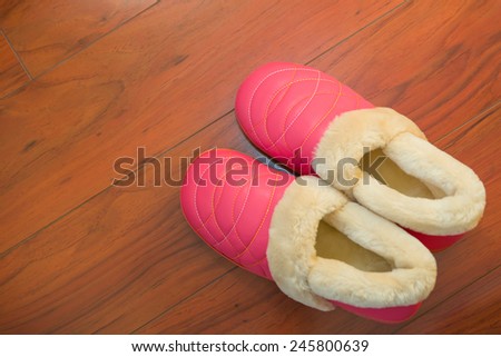 Pair of shoes for lady on wooden floor in bed room
