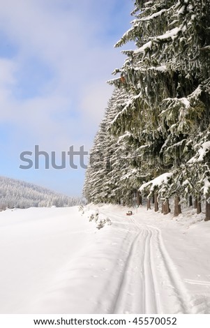 Cross country track in a snowy forest near Gutenbrunn in the Waldviertel region Lower Austria on a sunny summer winter day