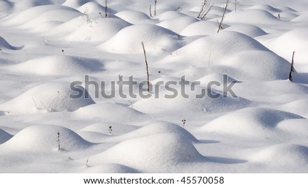 Snowy field near Gutenbrunn in the Waldviertel region Lower Austria on a sunny summer winter day