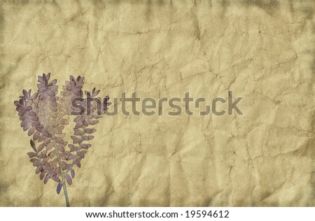 Vintage and grungy yet tender looking paper background with washed out plant drawing theme.