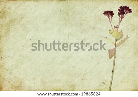 Old dirty paper background with a faded flower. Soft texture.