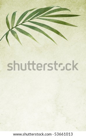 Stained old paper background with palm leaf.