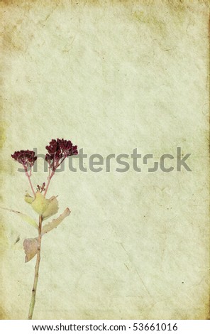 Faded Flower Background