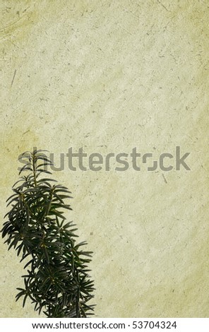 Hard paper background with old painting and evergreen twig. Detailed texture. Copy-space.