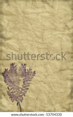 Vintage grungy yet tender looking paper background with washed out plant drawing theme.