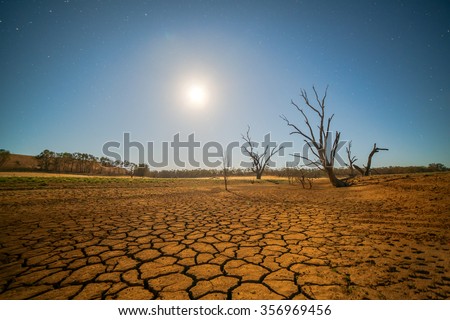 Global warming concept. dead tree under hot sunset,  drought cracked desert landscape