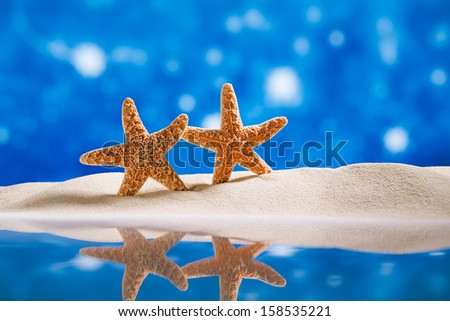 starfish  with stars glitter back and reflection, shallow dof