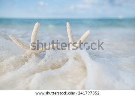 white starfish in sea wave live action, blue sea and clear water, shallow dof