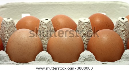 eggs in the carton, close-up, sharp shot