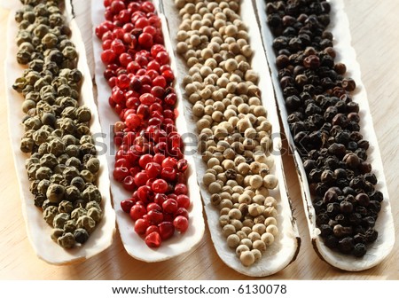 Peppercorns Spices in the sea shells on wood - Black peppercorns, Green peppercorns, Red peppercorns, White  peppercorns