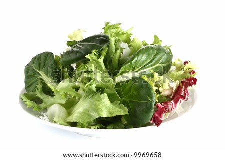 stock-photo-fresh-green-leafy-salad-with-tatsoi-on-plate-isolated-on-white-9969658.jpg