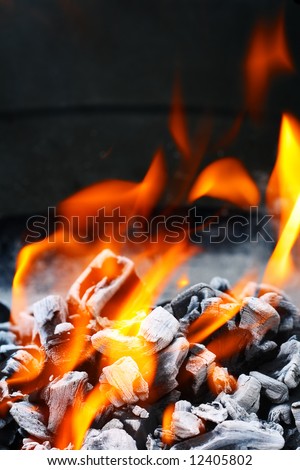 Barbecue Grill flame fire charcoal BBQ
