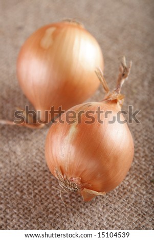 two golden white onions bulb on brown hessian rustic background, shallow DOF