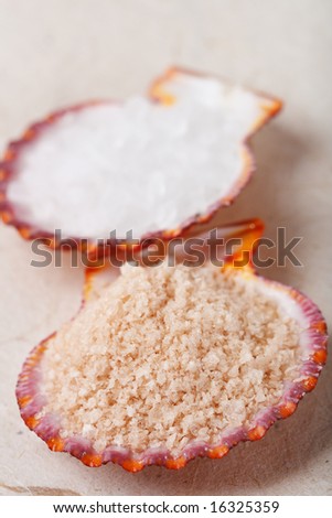 smoked pink sea salt in sea shell on paper and second shell background