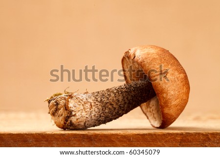 orange-cap boletus mushroom on wooden board , shallow dof