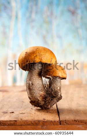 orange-cap boletus mushroom on wooden box