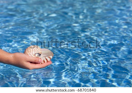 girls hand holding nautilus shell full of water against deep blue water, shallow dof