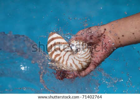 girls hand holding nautilus shell and splash flowing water, shallow dof