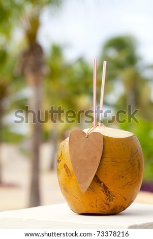drinking coconut with cocktail straws and paper heart. palm trees on background. shallow dof