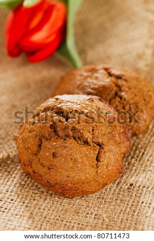 soft ginger cookies on hessian backdrop, shallow dof