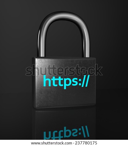 padlock isolated on the black background. Concept of a secure connection.