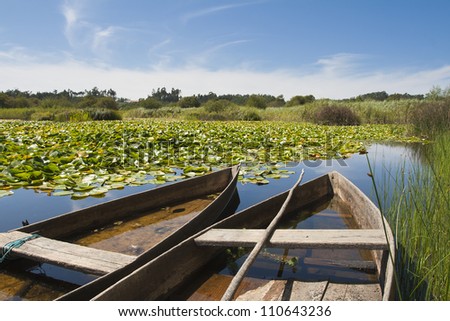 Two old bass boats on a swamp with nenufars