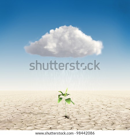 Growth investing and financial business success in the form of a small green tree in the desert, which sheds rain from the cloud