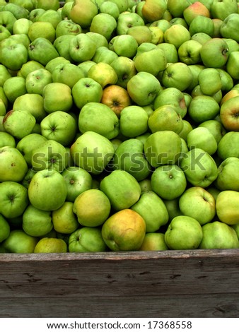 Full bin of fresh apples