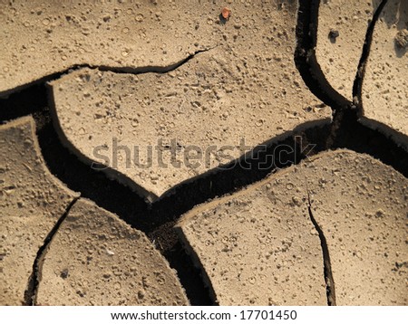 Dry cracked mud texture