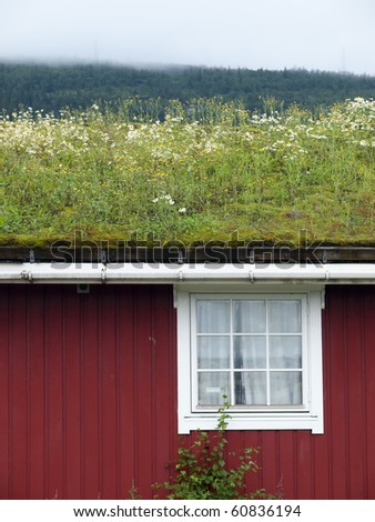 Detail of scandinavian house with traditional grass roof