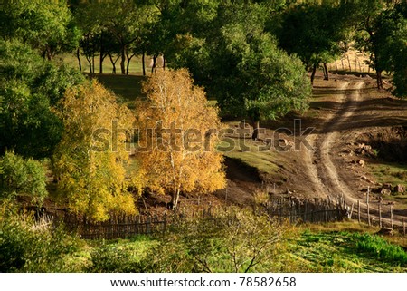 Day view of Autumn scene at Inner Mongolia