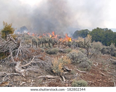 Wildland fire fighters use prescribed fire to manage rangeland vegetation.