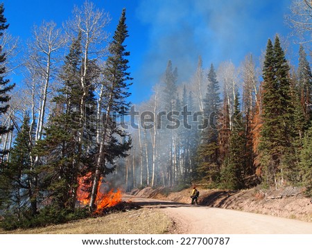 A fire fighter approaches a wildfire along a road in the forest.